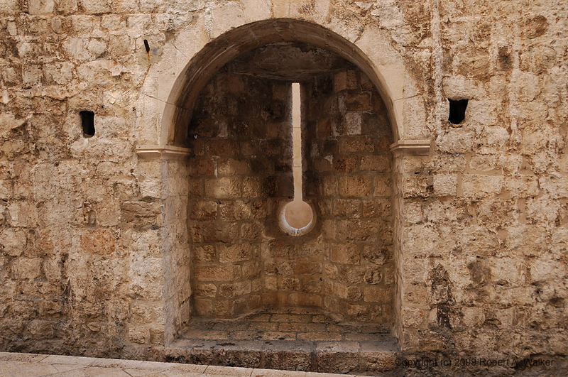 DSC_2506.NEF.jpg