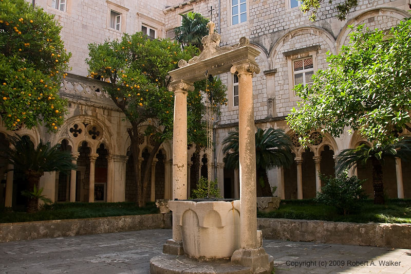 DSC_2517.jpg