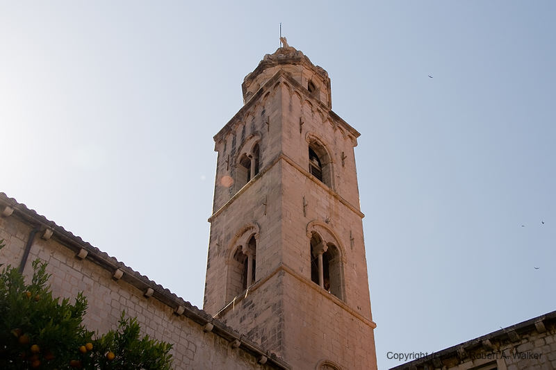 DSC_2518.jpg