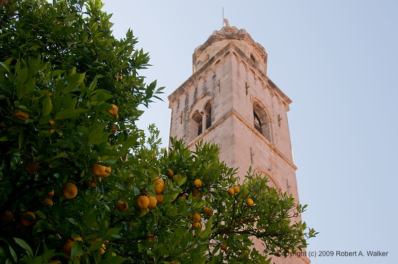 DSC_2521.jpg