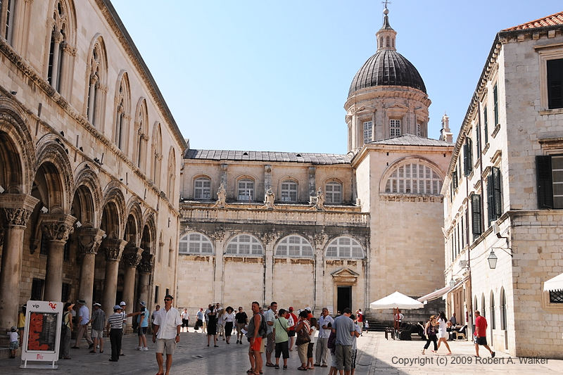 DSC_2535.NEF.jpg