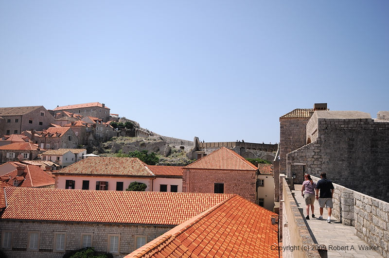DSC_2636.NEF.jpg