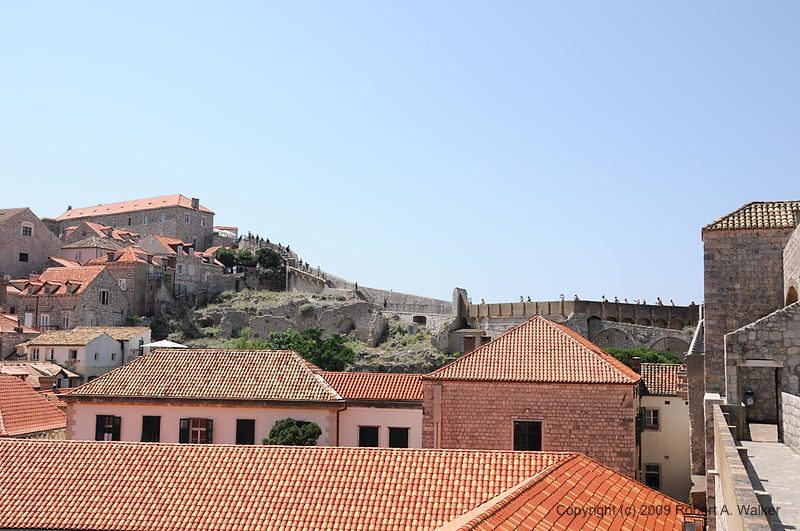 DSC_2639.NEF.jpg