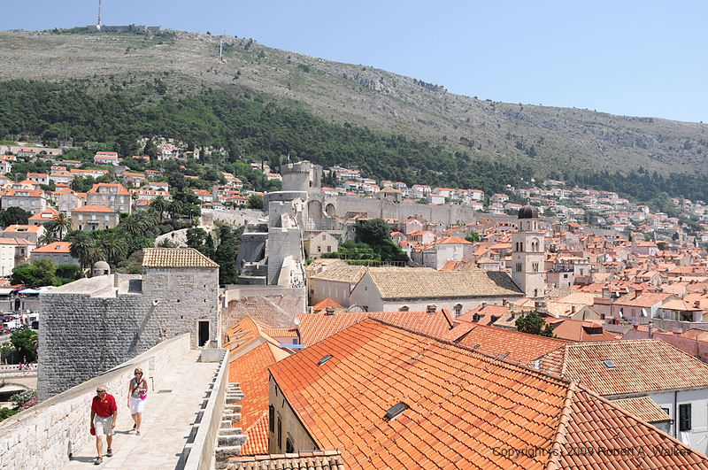 DSC_2651.NEF.jpg