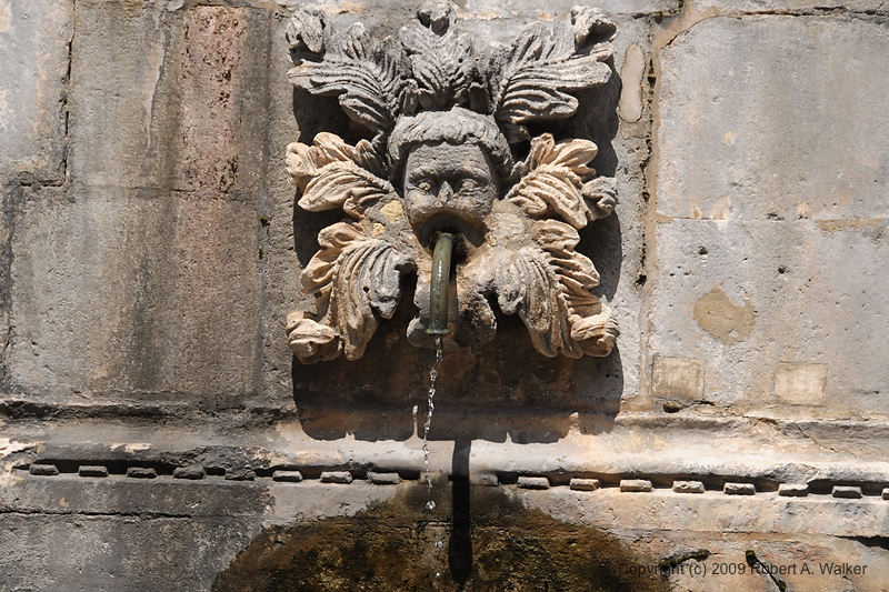 DSC_2675.NEF.jpg