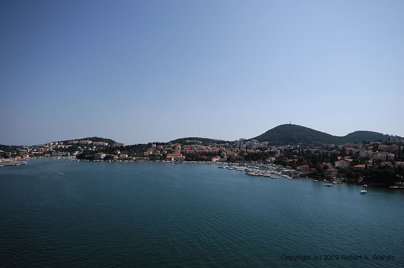 DSC_2704.NEF.jpg
