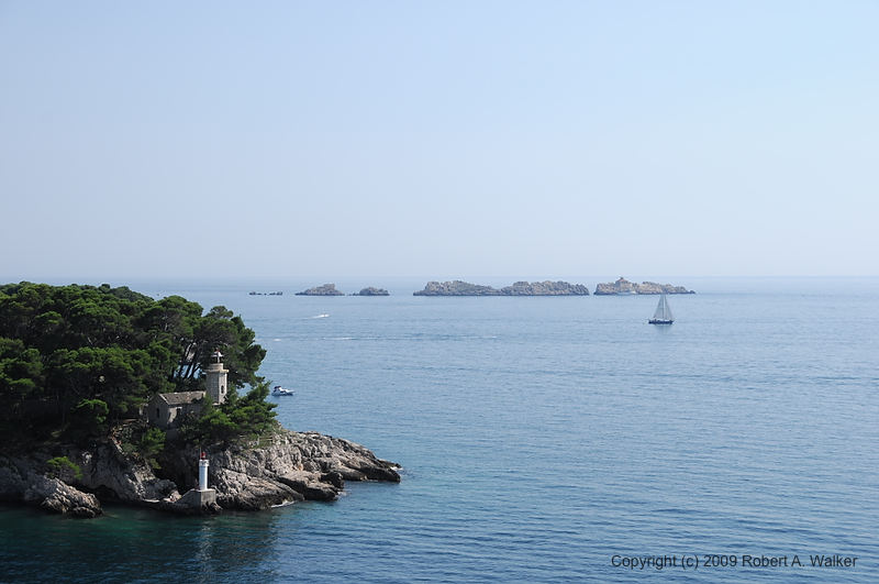 DSC_2735.NEF.jpg