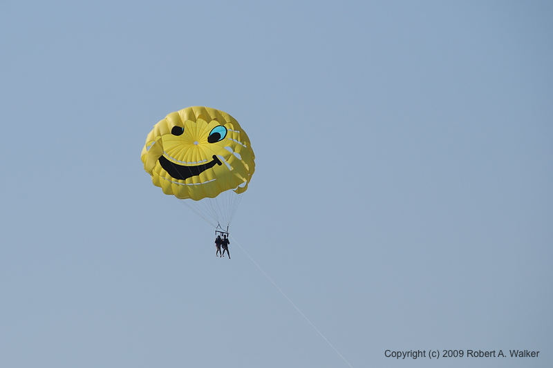DSC_2748.NEF.jpg