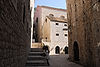 Dominikanski Samostan (Dominican Monastery)