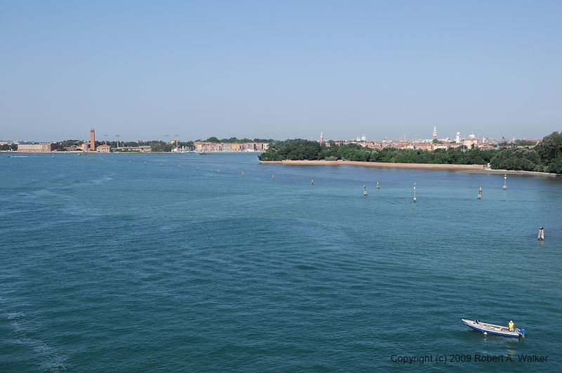 DSC_2770.NEF.jpg