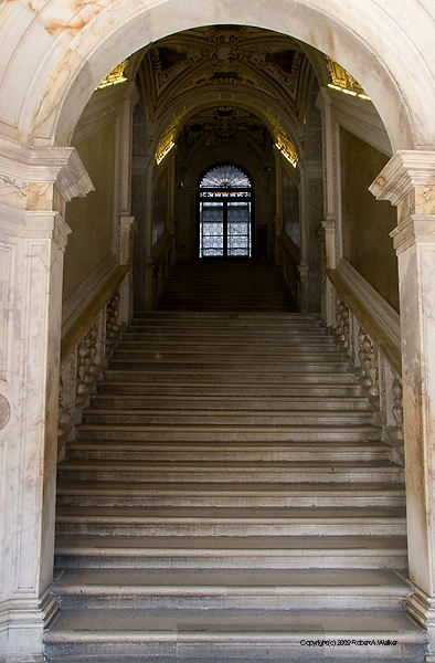DSC_2930.jpg