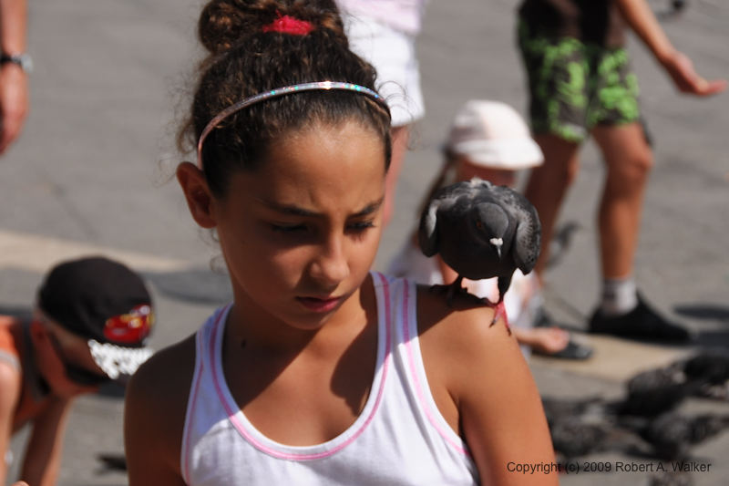 DSC_3084.NEF.jpg