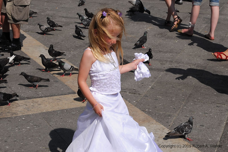 DSC_3085.NEF.jpg