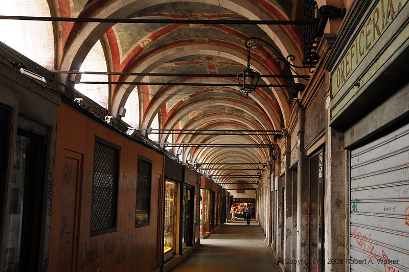 DSC_3351.NEF.jpg