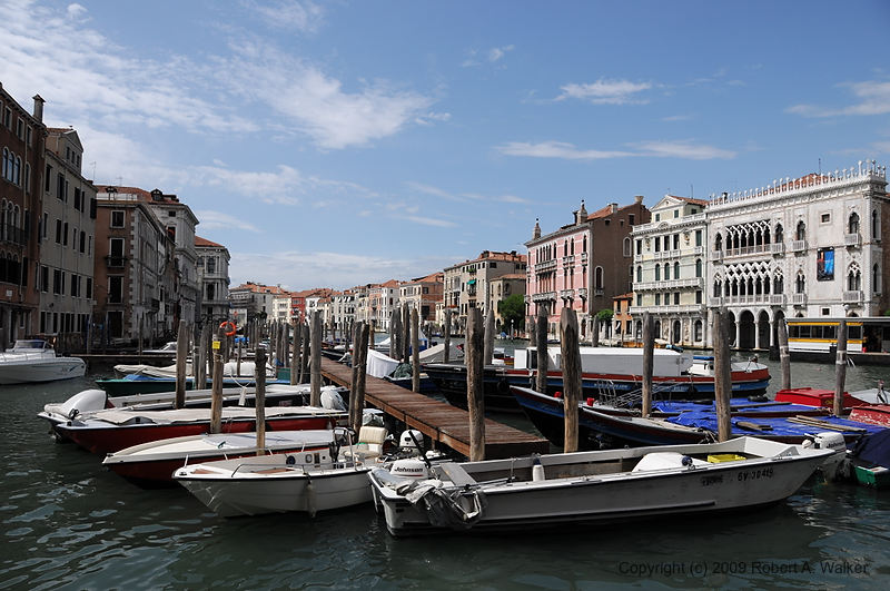DSC_3355.NEF.jpg