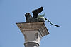 St. Mark's Lion