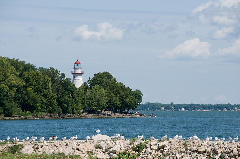 DSC_3413.jpg