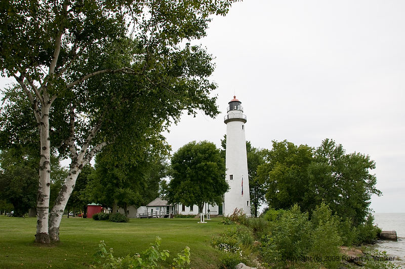 DSC_3695.jpg