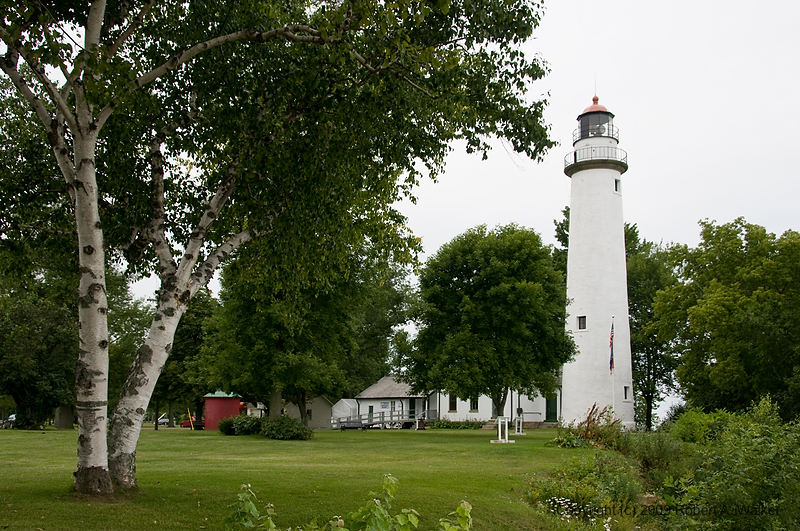 DSC_3697.jpg