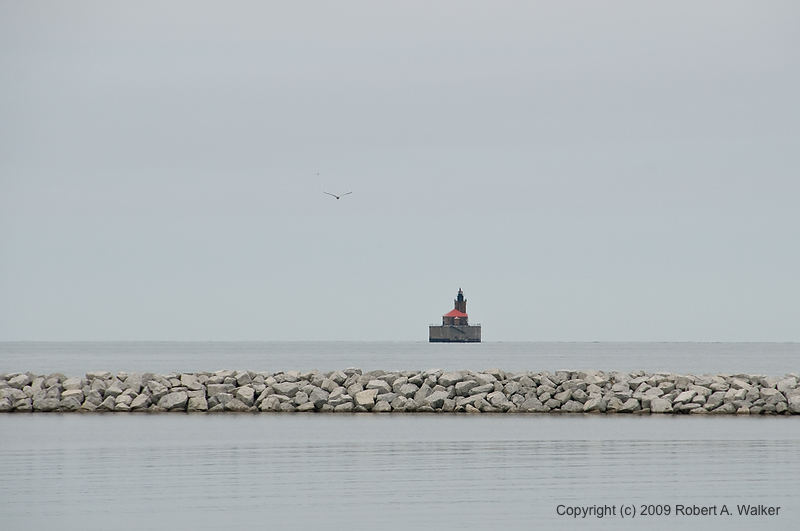DSC_3726.jpg