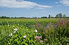 Ottawa National Wildlife Refuge