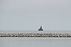 Port Austin Reef Lighthouse