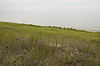 Port Crescent State Park