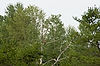 Port Crescent State Park