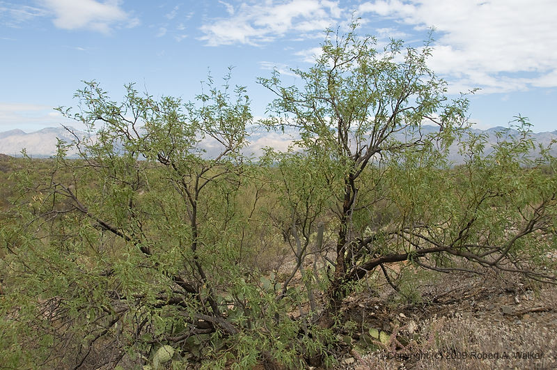 DSC_3877.jpg