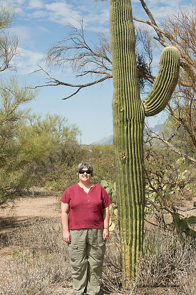 DSC_3893.jpg