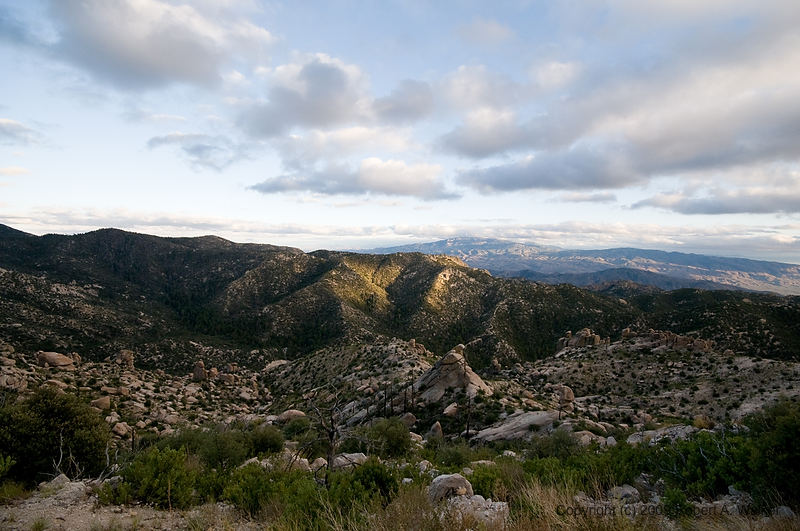 DSC_4159.jpg