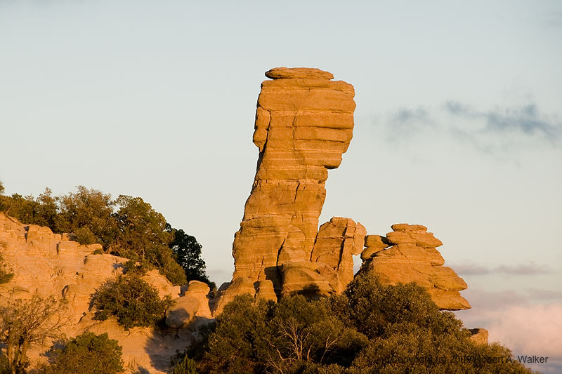 DSC_4200.jpg