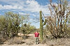 Ellen at Cactus Forest Loop Drive