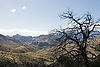 Along Sky Island Scenic Byway