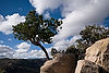 Windy Point Vista