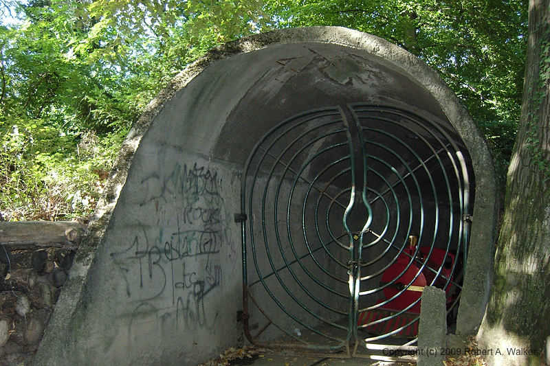 DSCN0138.jpg