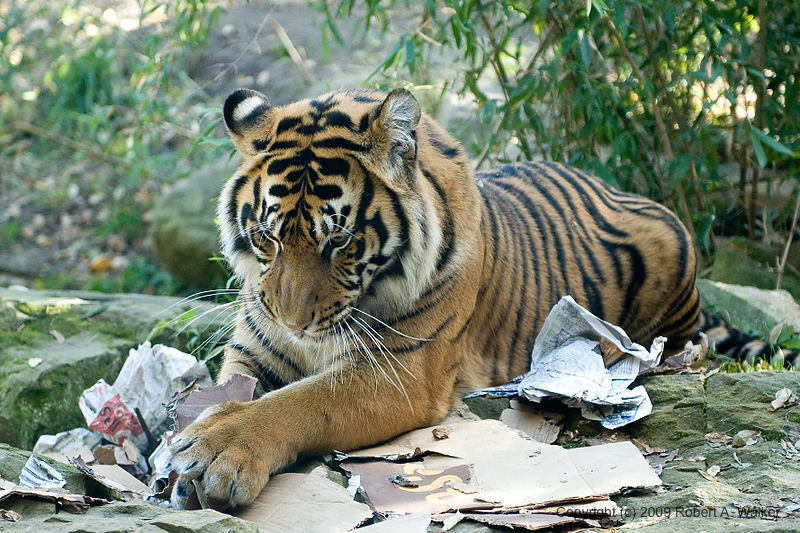 DSC_0137.jpg
