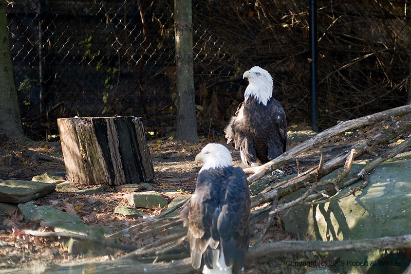 DSC_0169.jpg