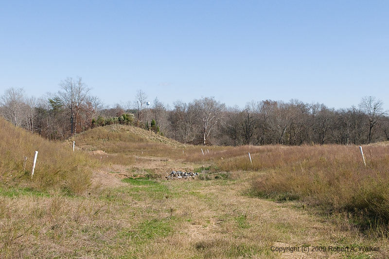 DSC_0261.jpg