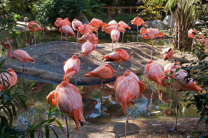 DSC_0277.jpg