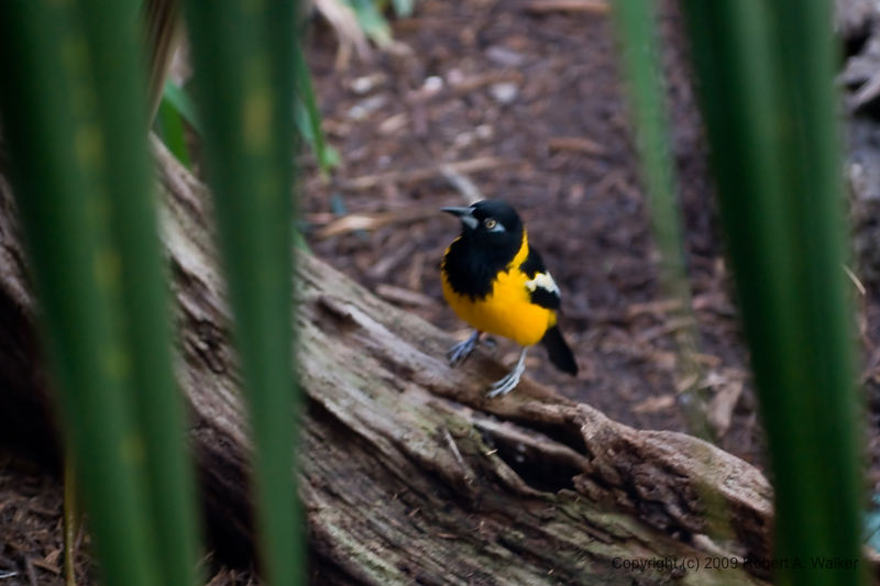 DSC_0327.jpg