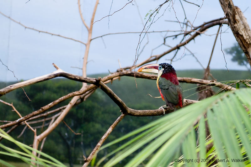 DSC_0328.jpg