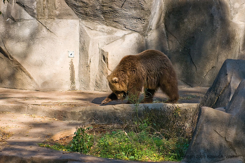 DSC_0340.jpg