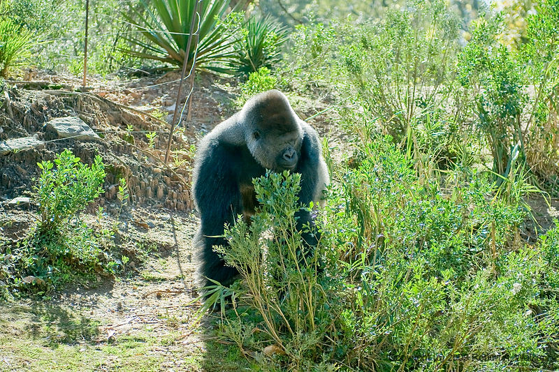 DSC_0363.jpg