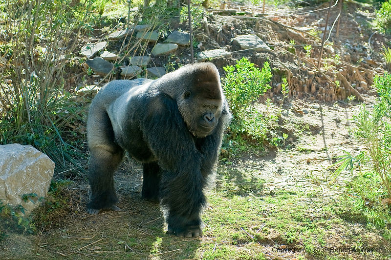 DSC_0369.jpg