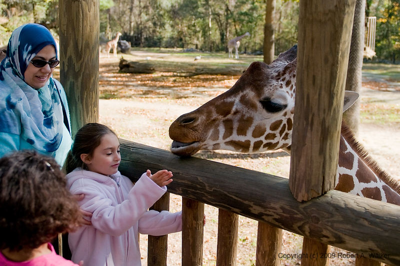 DSC_0493.jpg