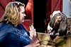Rene feeding Goats