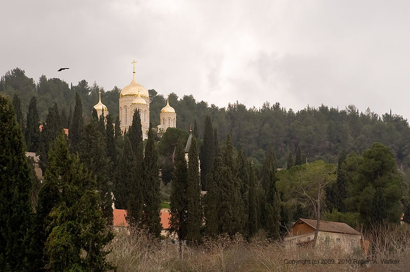 DSC_1214.jpg