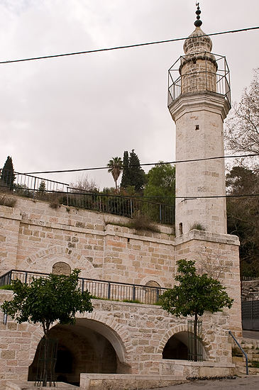 DSC_1215.jpg