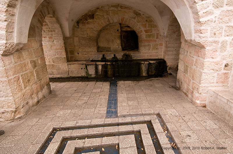 DSC_1220.jpg